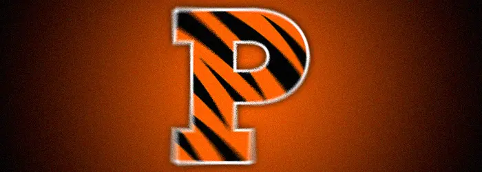 Princeton University Banner